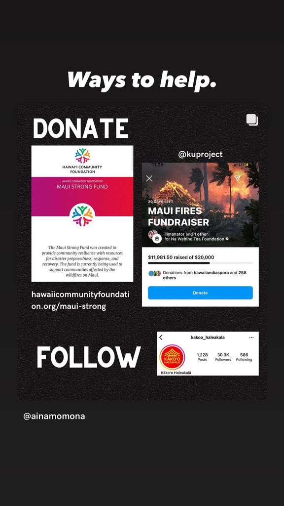 Kyra Sedgwick encourages her followers to donate in support of the residents of Hawaii amid wildfires in Maui
