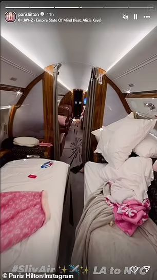 Inside Paris Hilton's incredibly lavish jet