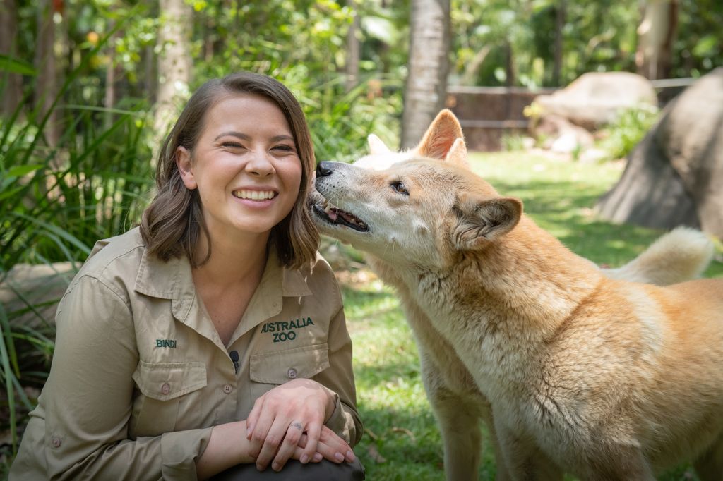 Bindi Irwin smiles as she poses with a dingo