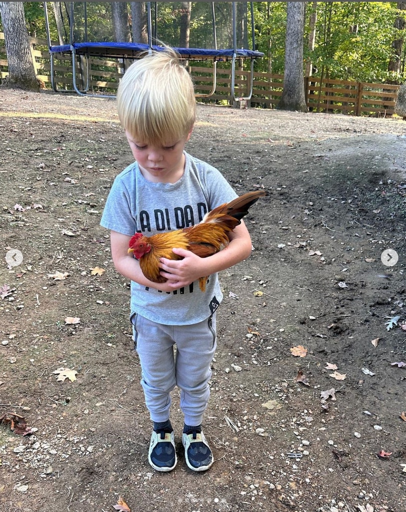 The Flip or Flop star's son Hudson with a new chicken on their sprawling Tennessee farm