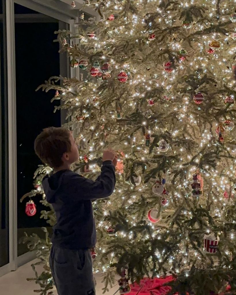 Dara Huang shared this photo of her son Wolfie at Christmas