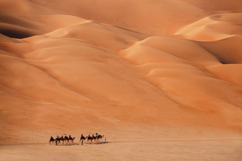 Il existe des opportunités uniques dans le désert d'Abu Dhabi