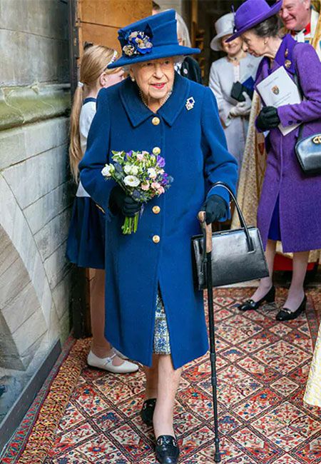 the queen walking stick BLUE