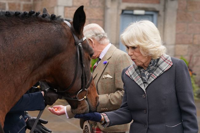 Queen Consort Camilla with a horse