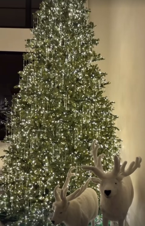 Khloe Kardashian's decorations at her $17m home