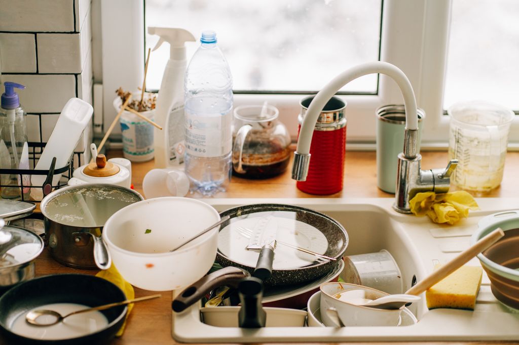 Find a cockroach in your home? 4 ways to get rid of roaches fast — and keep yourself calm in the process