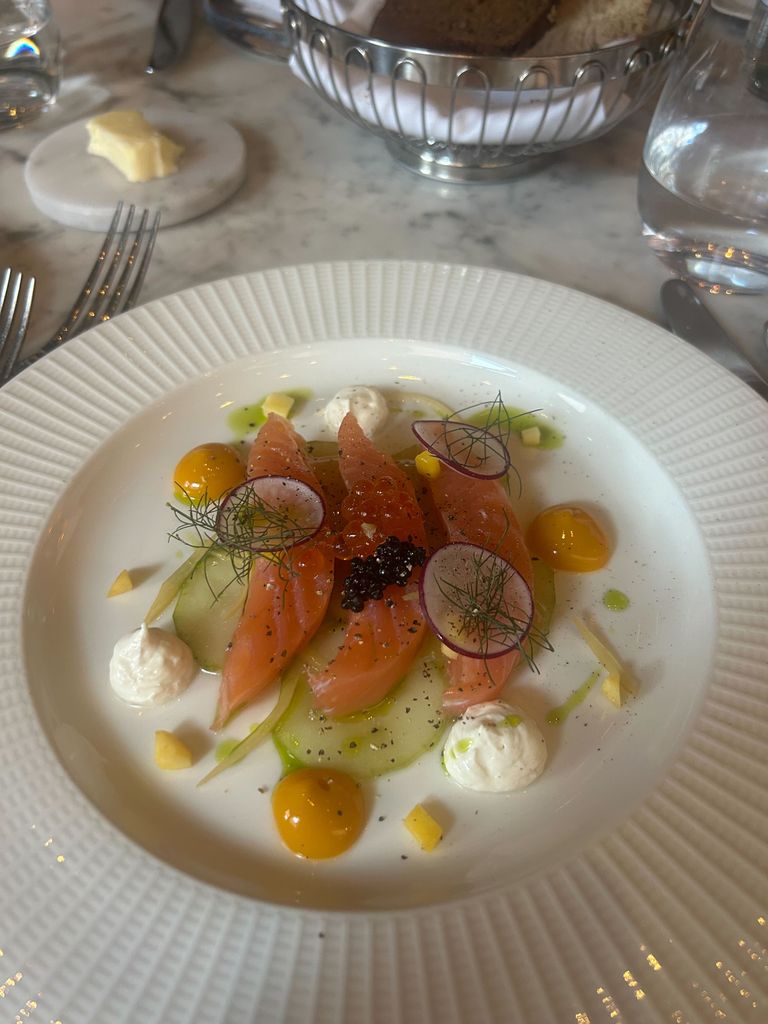 A plated appetiser featuring slices of cured salmon arranged over thinly sliced cucumber, garnished with radish rounds