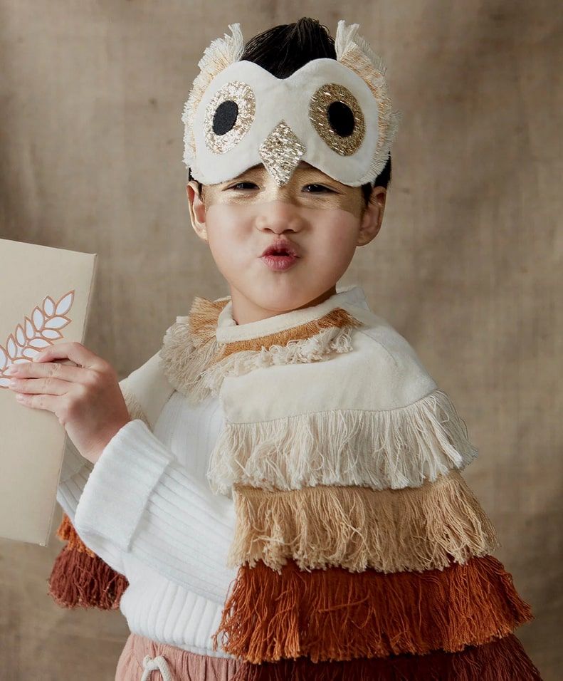 kidly meri meri owl costume