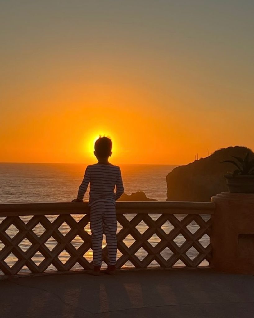 Archie looking at a sunrise/sunset