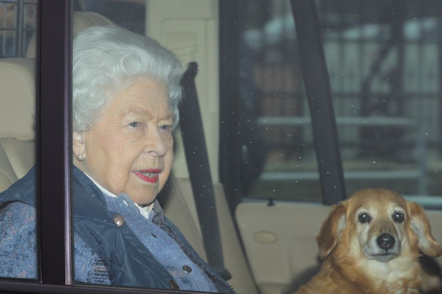 queen and pet dog 