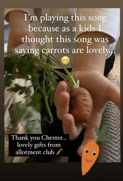 holly willoughbys son chester holding a carrot 