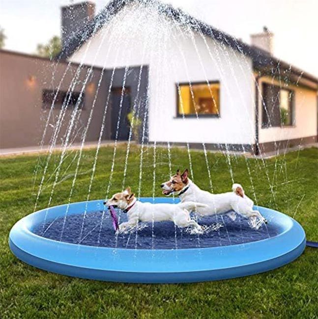dog splash mat