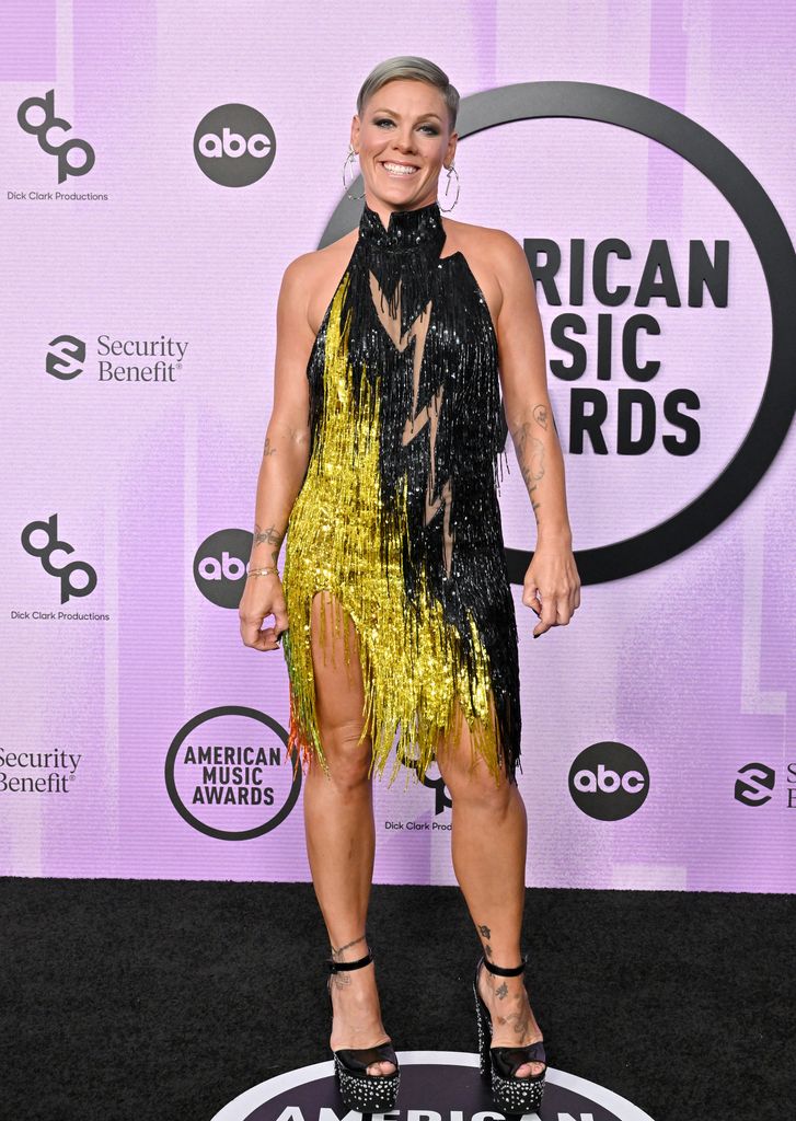 Pink attends the 2022 American Music Awards at Microsoft Theater on November 20, 2022 in Los Angeles, California.