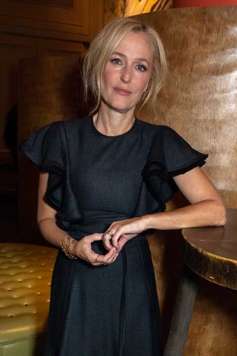 gillian anderson wearing a dress with statement sleeves