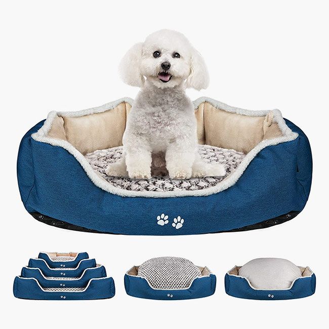 dog bed