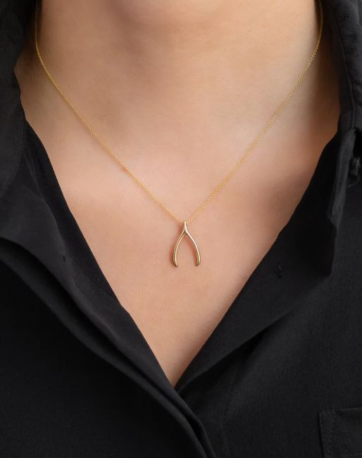 lucky charm jewelry wishbone necklace on etsy