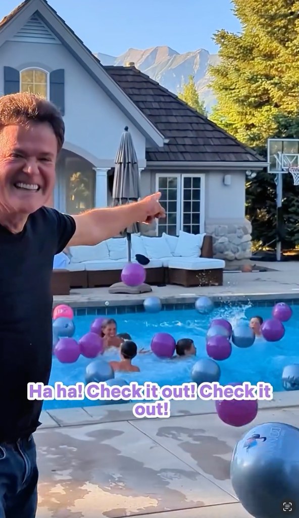 donny osmond grandchildren