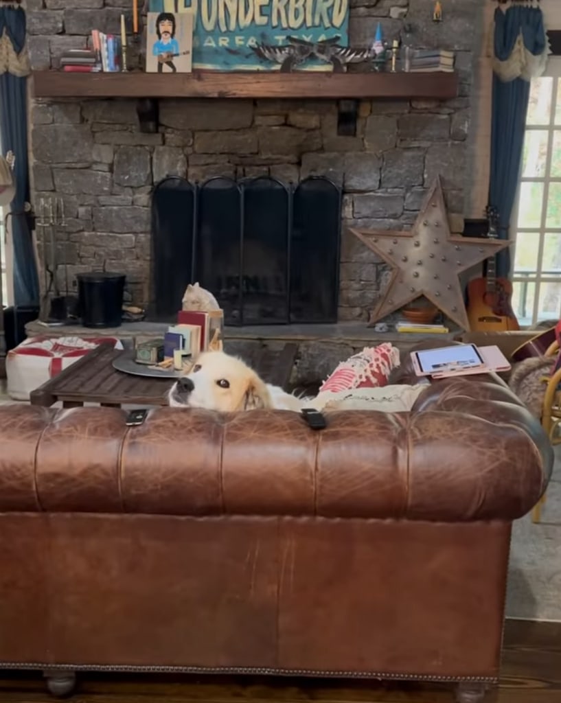 Photo shared by Miranda Lambert on Instagram November 2023 of one of her dogs sitting on her couch in her home in Texas.