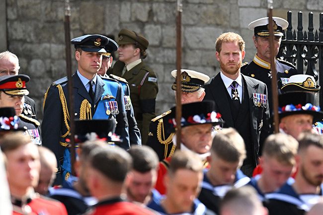 Prince Harry and Prince William at the Queens funeral