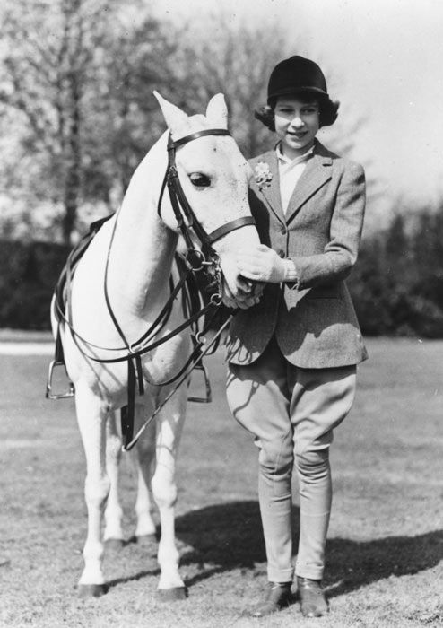 the queen with horse