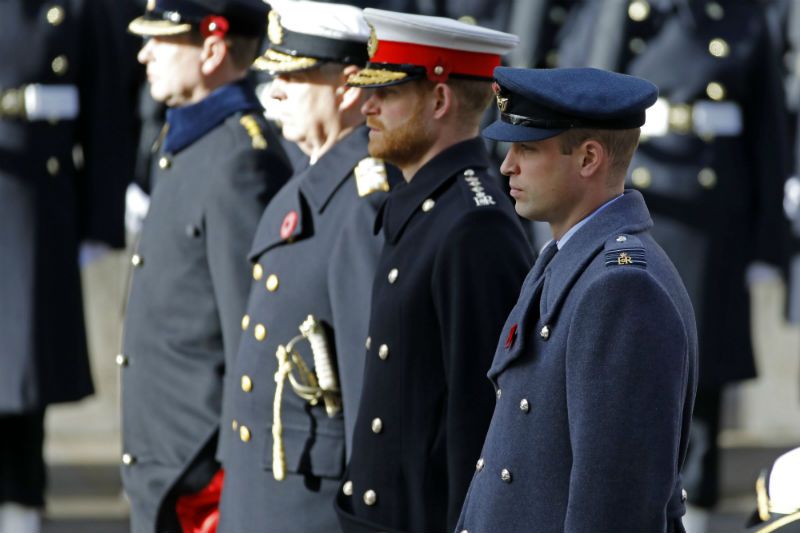 prince harry prince william remembrance day