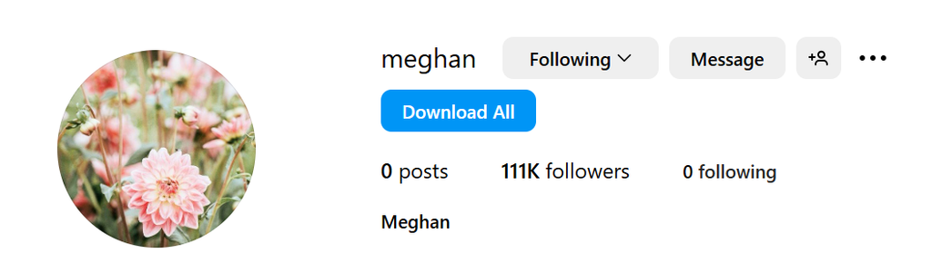 Minutes before her first post, Meghan's account had 111k followers