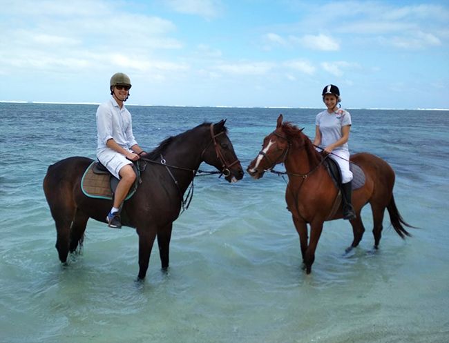 horses sea