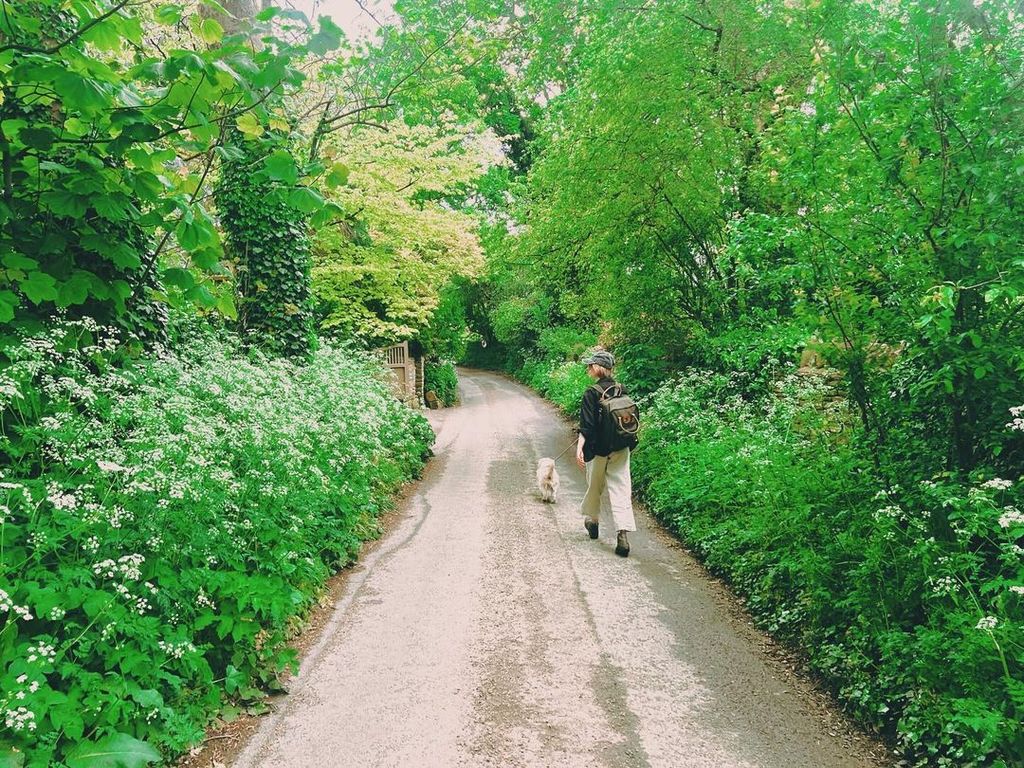 Saoirse Ronan out walking their dog in a photo shared by Jack Lowden