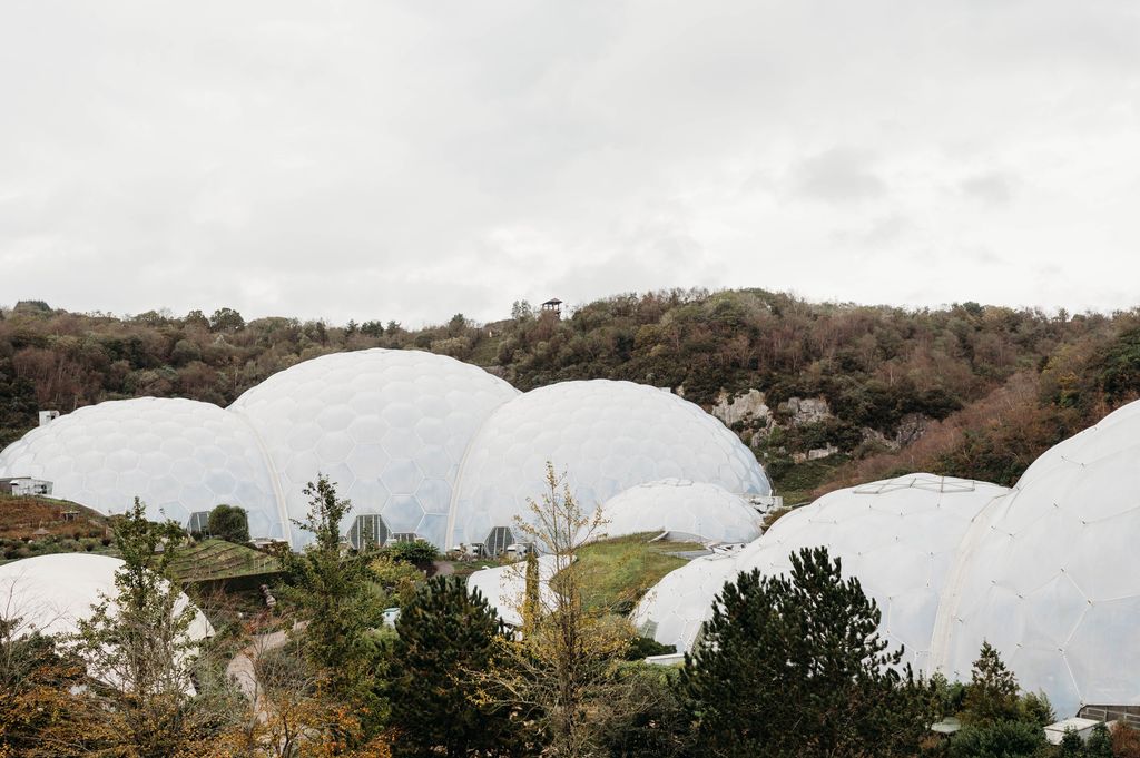 The Eden Project was a favourite with the family - even on a rainy day