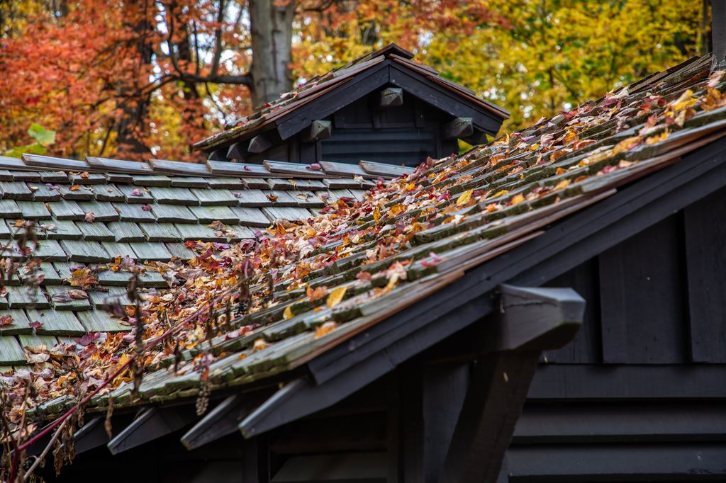 Dried Leaves on Roof in Fall