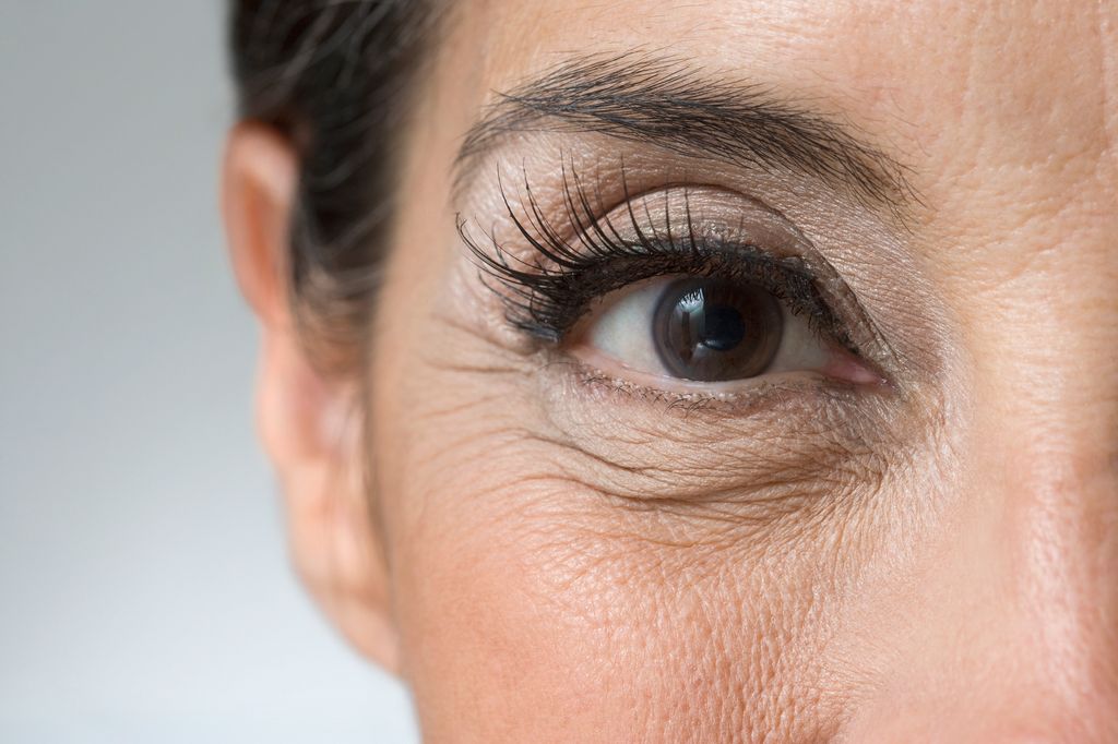 upclose picture of eyebrows and lashes