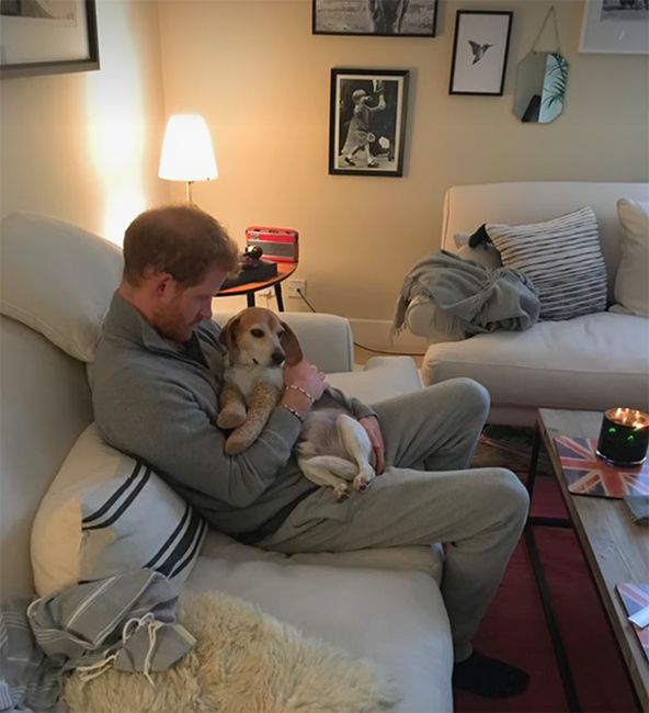 harry cuddling a dog inside nottingham cottage