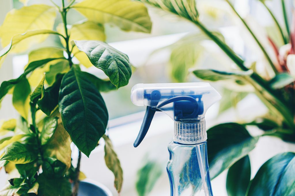 Supplies de nettoyage à côté des plantes sur le rebord de la fenêtre
