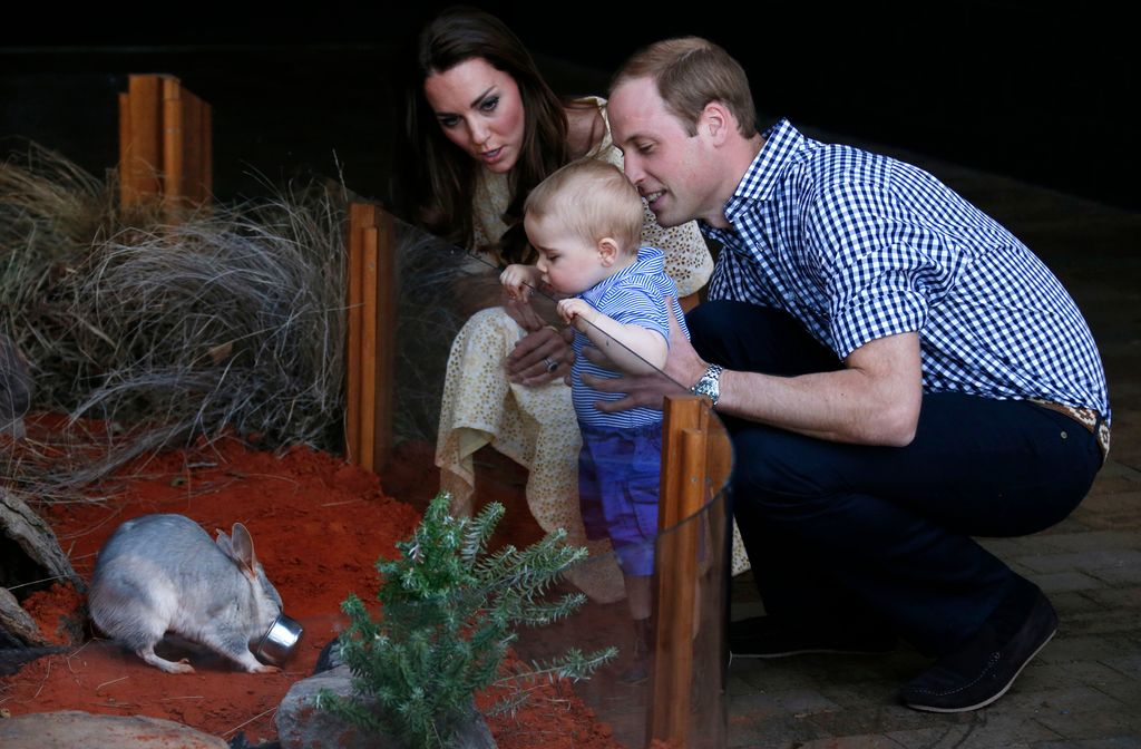 charlotte, william and george looking at bilby
