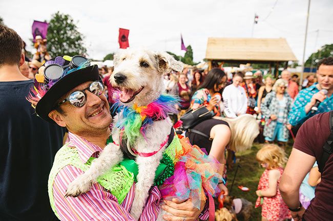 5 Standon Calling dogs