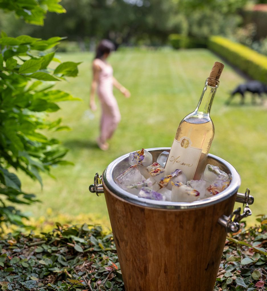 Meghan Markle rose wine in a bucket