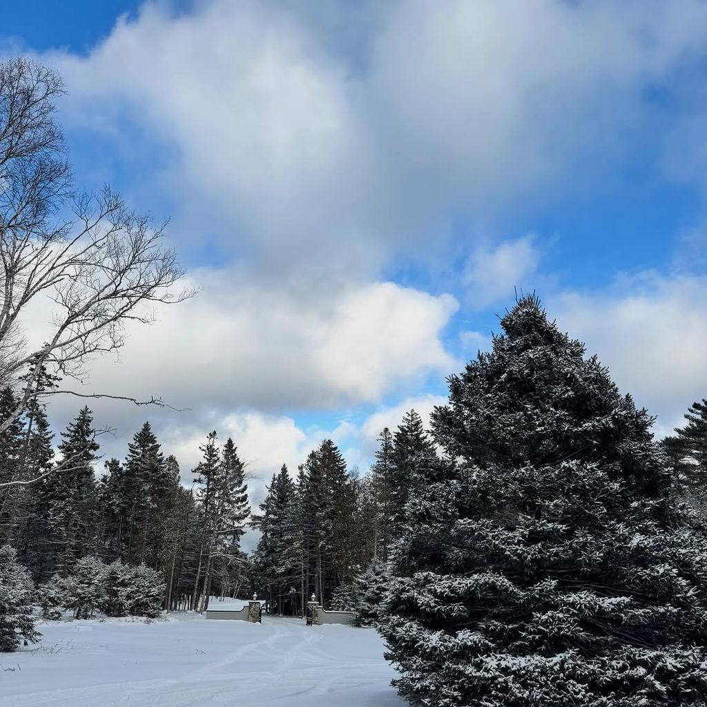 Ella Bleu Travolta shares a photograph of her family's estate covered with snow during Christmas, posted on Instagram