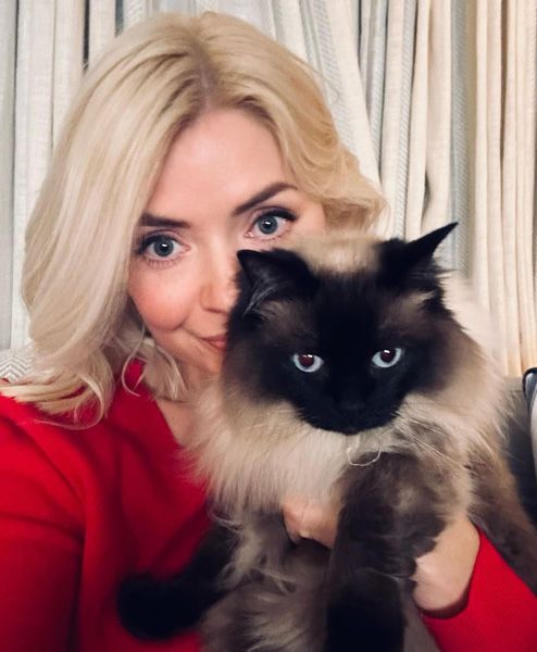 holly willoughby and bluebell cat