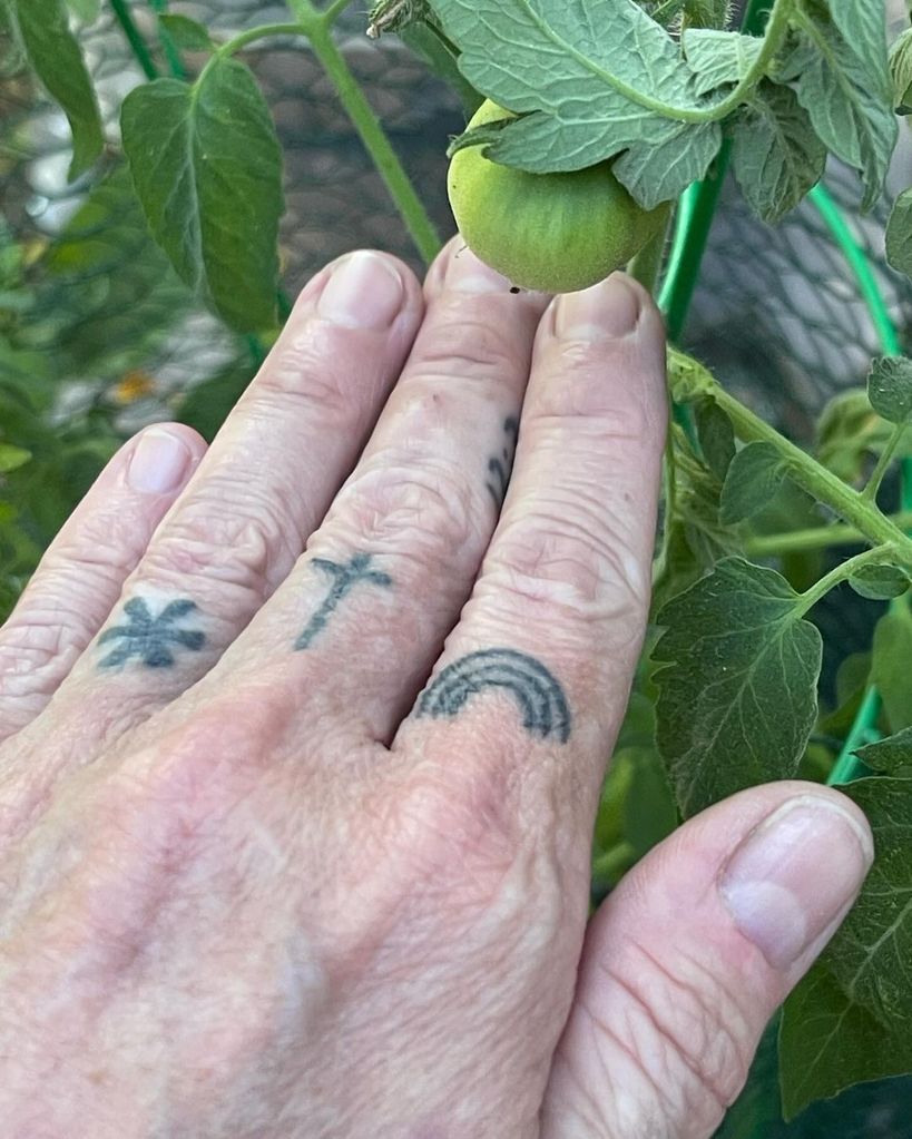 Pauley Perrette shows off the green tomatoes growing in her garden in photos shared on Instagram