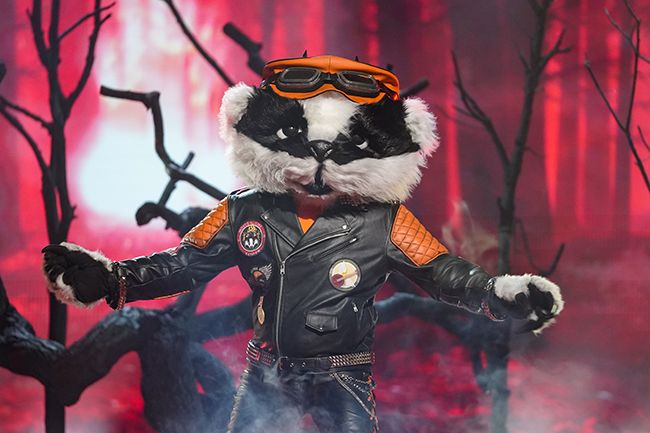 badger masked singer