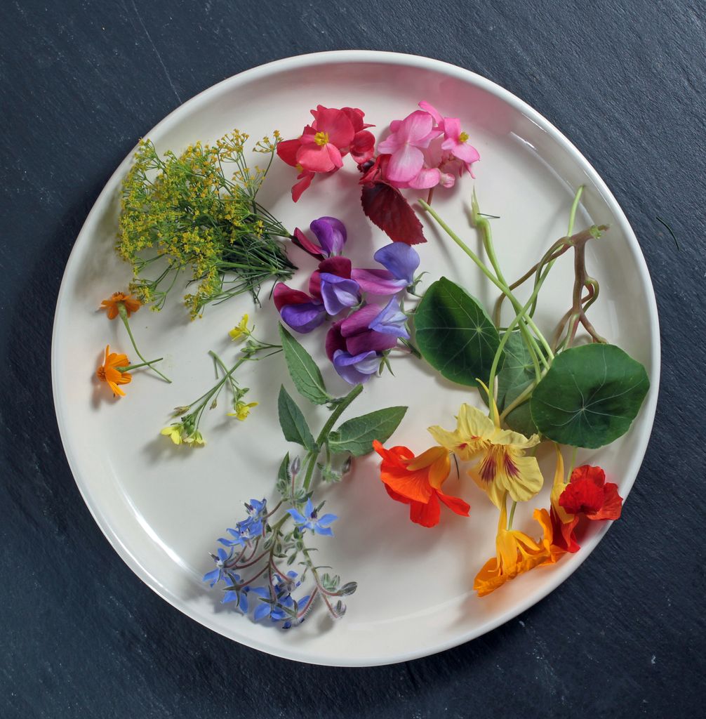 This return to retro is 'challenging today's norms about what is considered "appealing" in terms of scent'