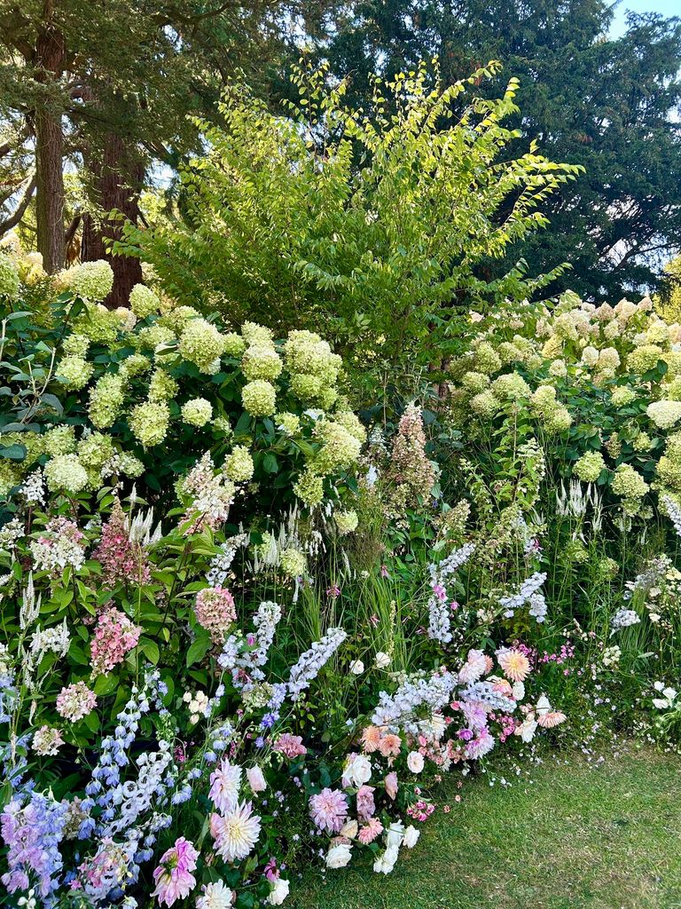 flowers in pastel shades