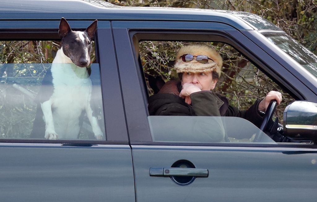Princess Anne, Princess Royal, with her bull terrier dog, seen driving her Land Rover Discovery