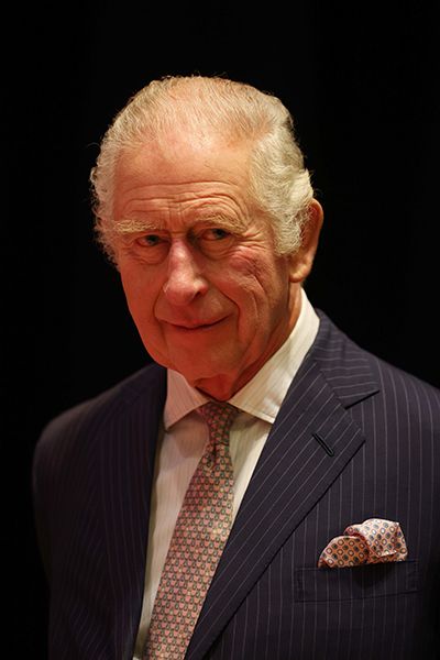 King Charles III looks smart in suit jacket and tie
