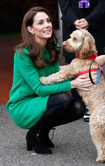 kate middleton with dog at school