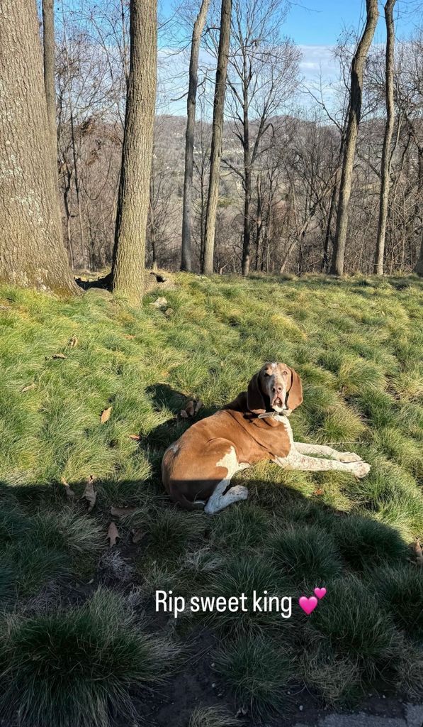 Photo shared by Gracie McGraw on Instagram November 2024 paying tribute to her family dog Stromboli, who passed away