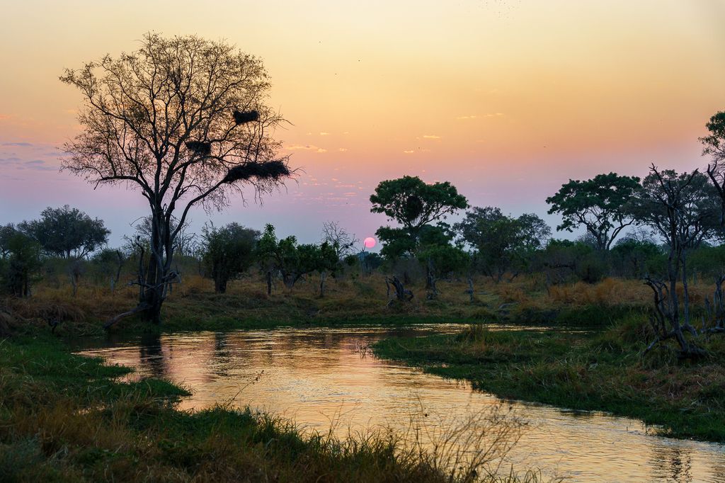 Mokete, Botswana Wildlife by canoe