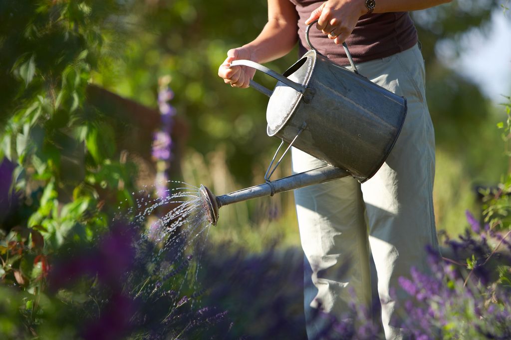 woman model watering a garden with watering can