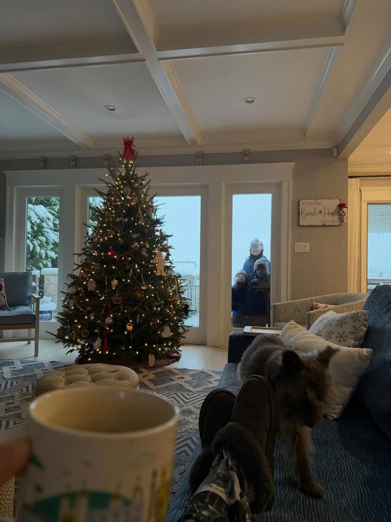 Dylan Dreyer and Brian Fichera's three sons look inside their home while playing in the snow, shared on Instagram