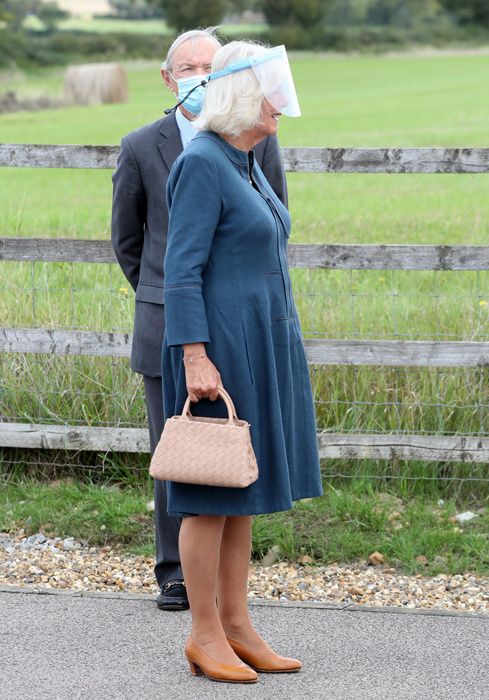 queen camilla wearing taupe dress and woven bag